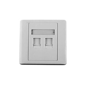 Tapa de pared, salida para dos puertos, con espacio para etiqueta - Blanco